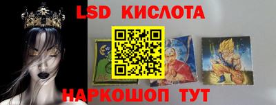 индика Вышний Волочёк