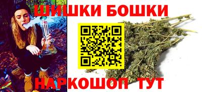 индика Вышний Волочёк